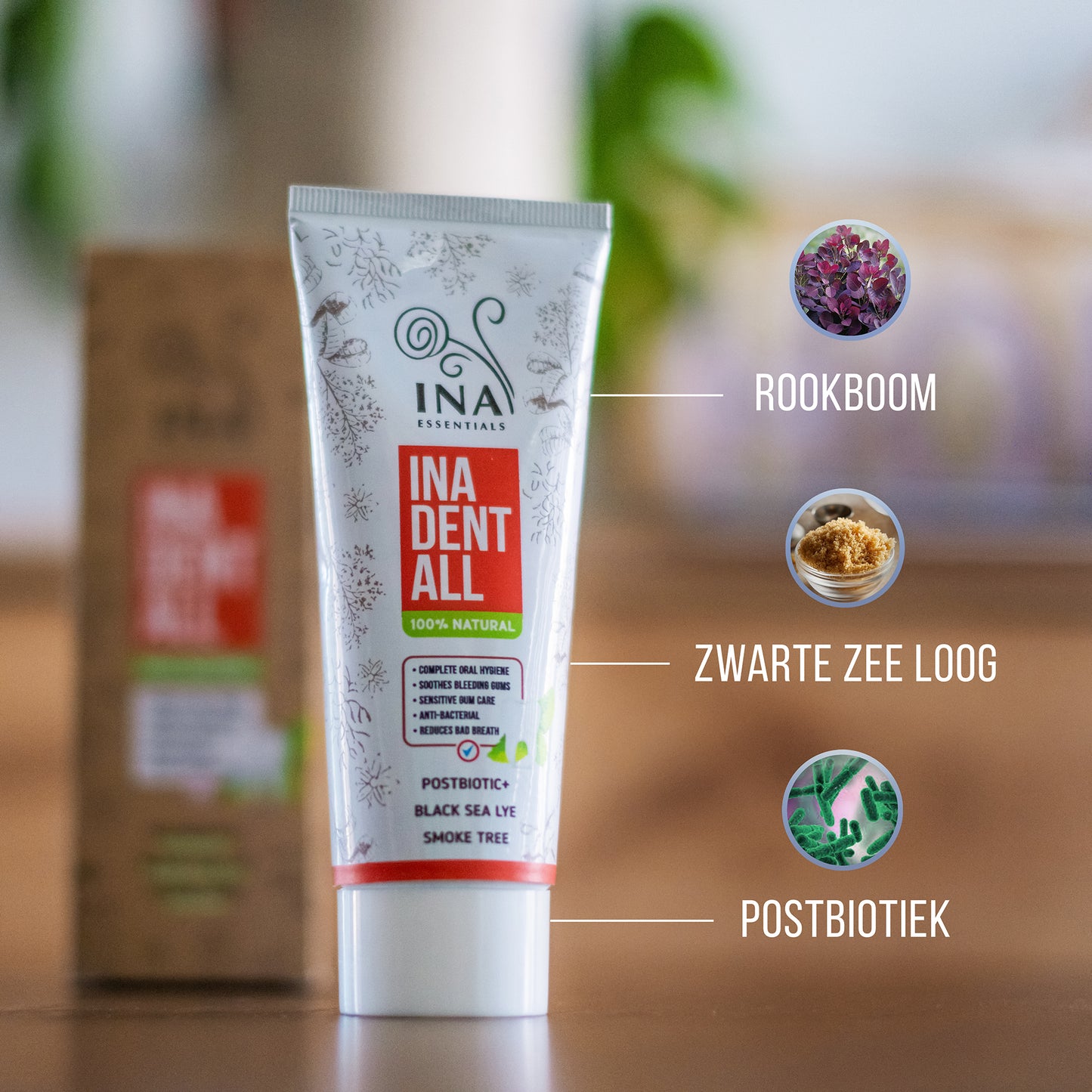 + Cadeau Natuurlijke Fluoridevrije Tandpasta met Rookboom, Zwarte Zee Loog en Postbiotisch - Ina Dent-All